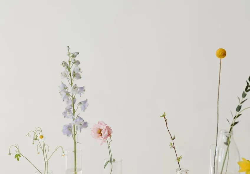 De lo placentero de las plantas De lo placentero de las plantas